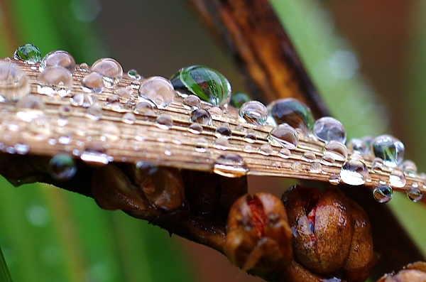 Wet wet wet