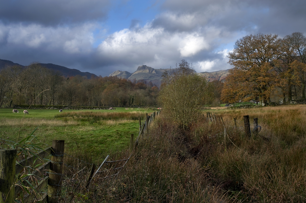 View to The Langdales