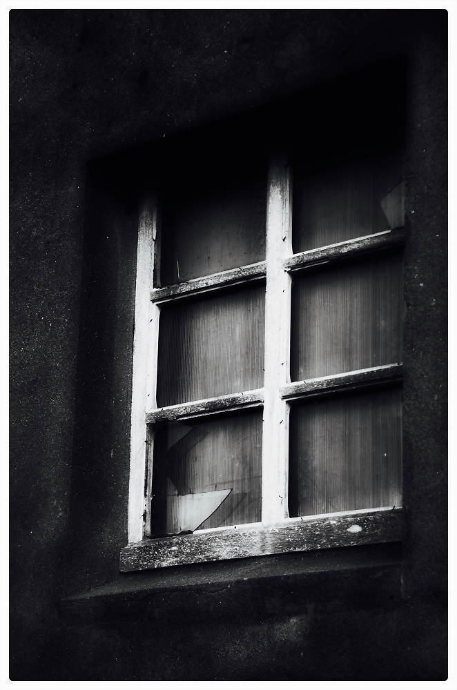 Window on a world...