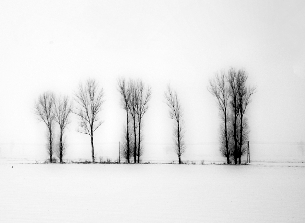 A piece of Polish winter