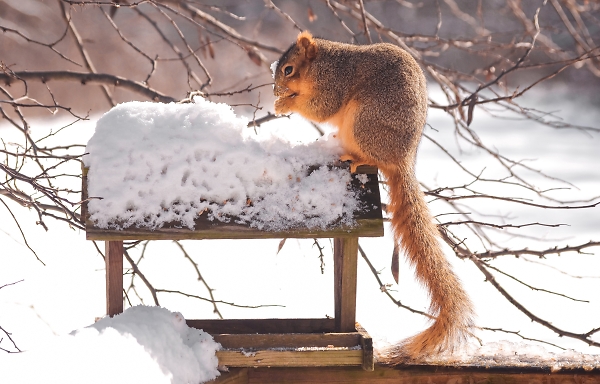 Caught in the Act