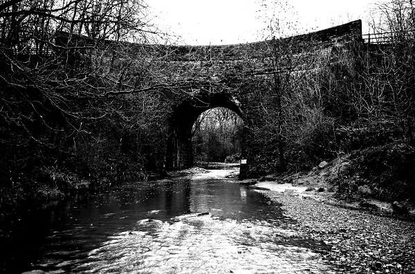 Daisy Nook