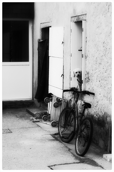 Gone without his bike ?! And even without his dog...?!