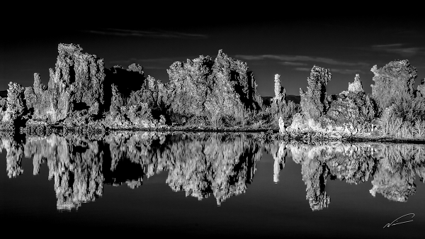 Mono Lake Tufa Formation
