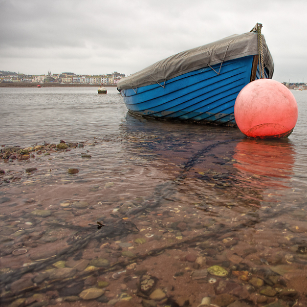 Saltings
