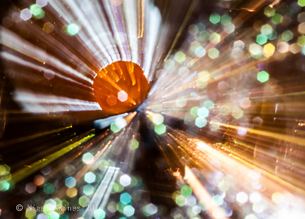 Warp Speed