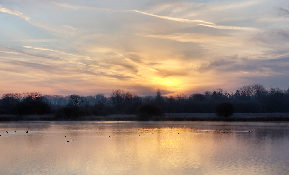January Sunrise