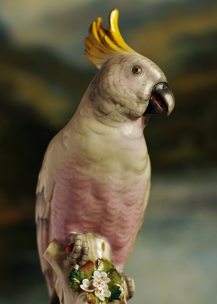 Pretty Polly