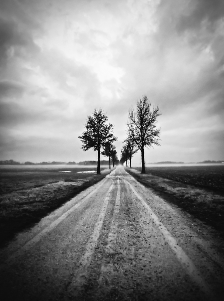 B & W Lascody Lane