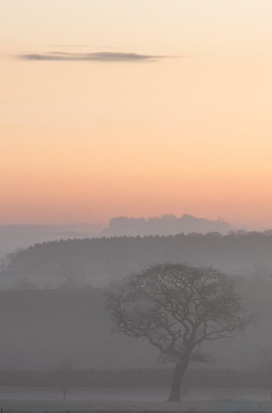 Dawn mist