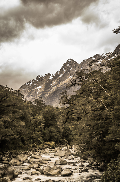 on the way to milford sound by horse and cart