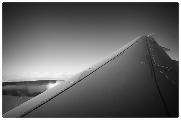 Pure flight