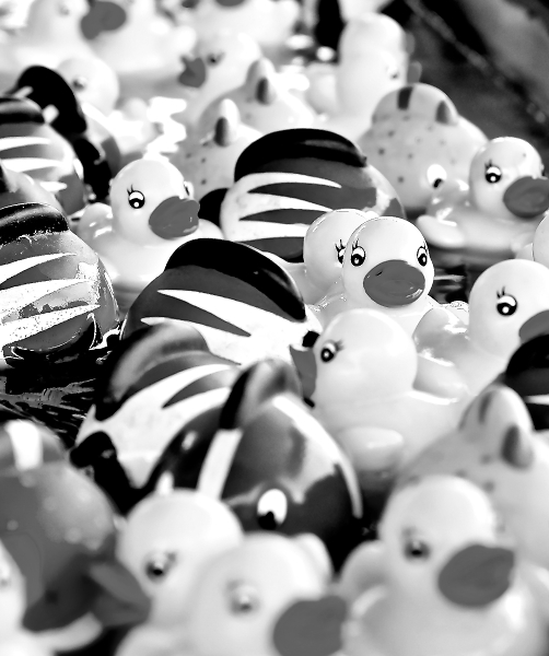 Rubber Ducky, You're the One!