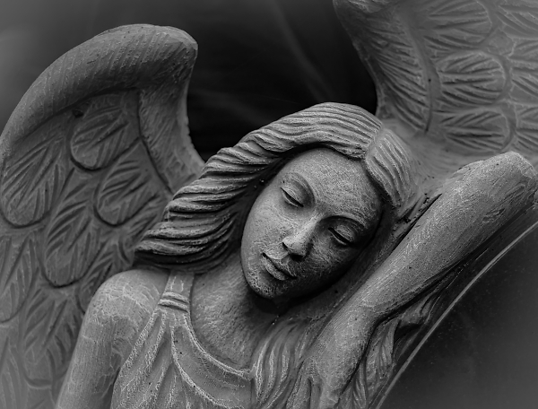 Sleeping Angel