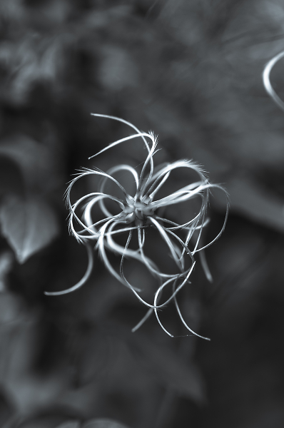 something caught inside my eye