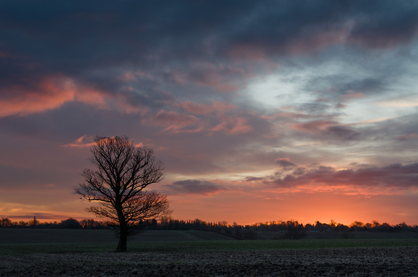 Suffolk dawn