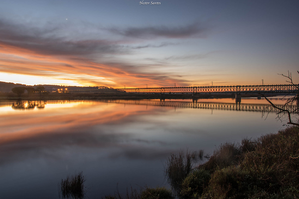 The Mondego