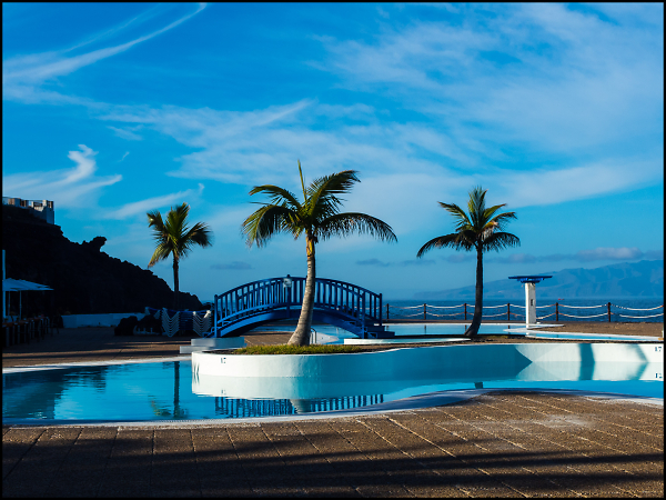 Three Palms