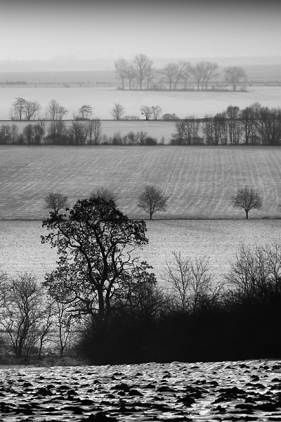 Winter layers
