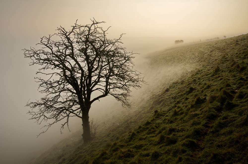 South Downs and fog
