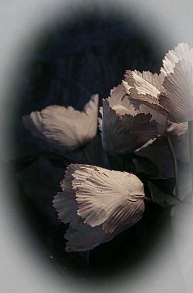 19th Century digital photograph