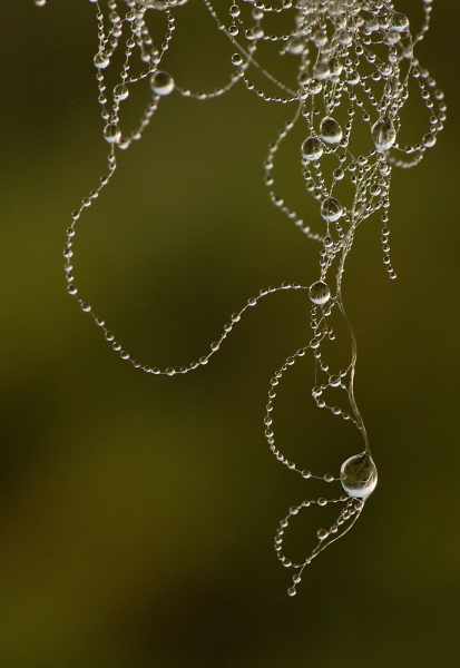 a string of pearls