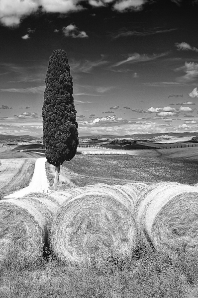 Alone & Majestic(Techn.Pan)