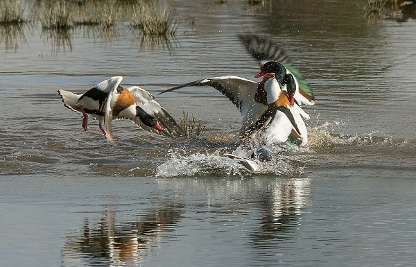 Attack from both sides