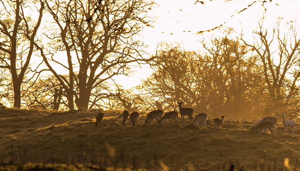 First light on Easter Friday