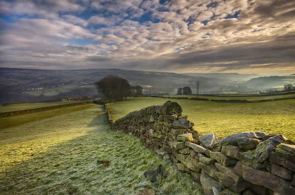 Frosty Morning