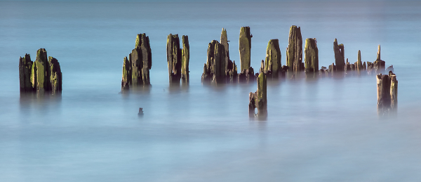 Groynes at Pett Level beach, East Sussex