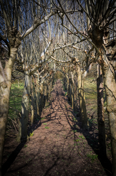 Path