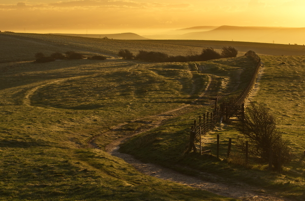 South Downs Way