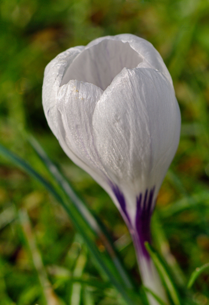 Spring Is Here
