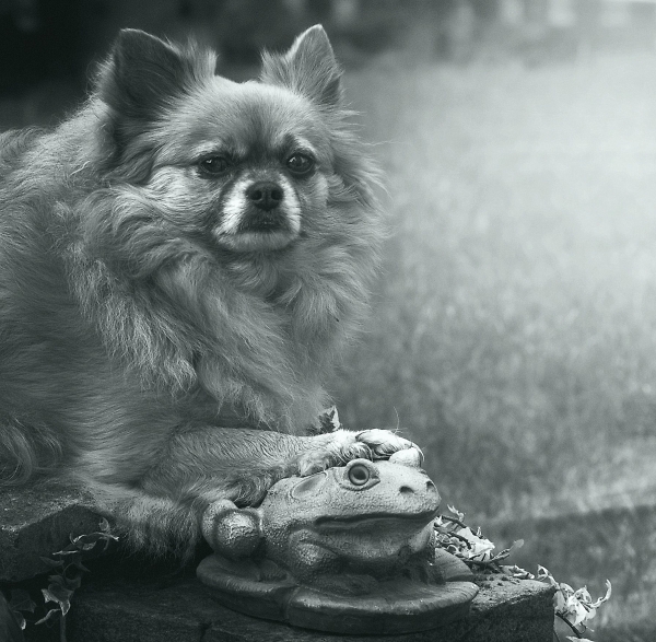 This is mine ... this is not yours!