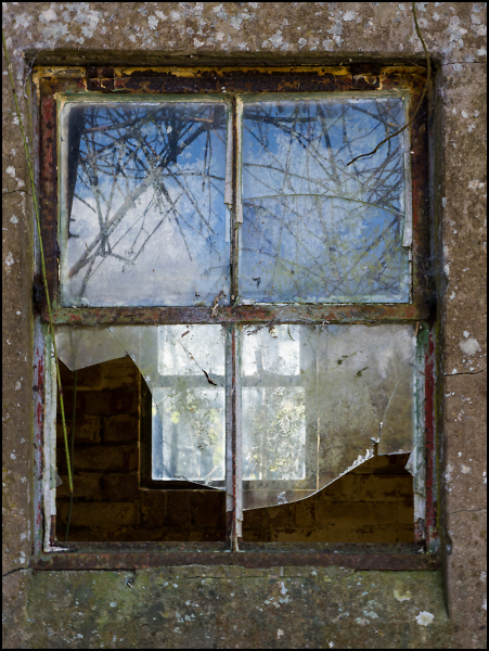 Window
