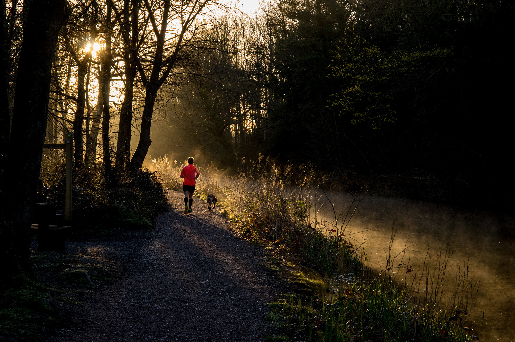 Early Morning Run with Dog