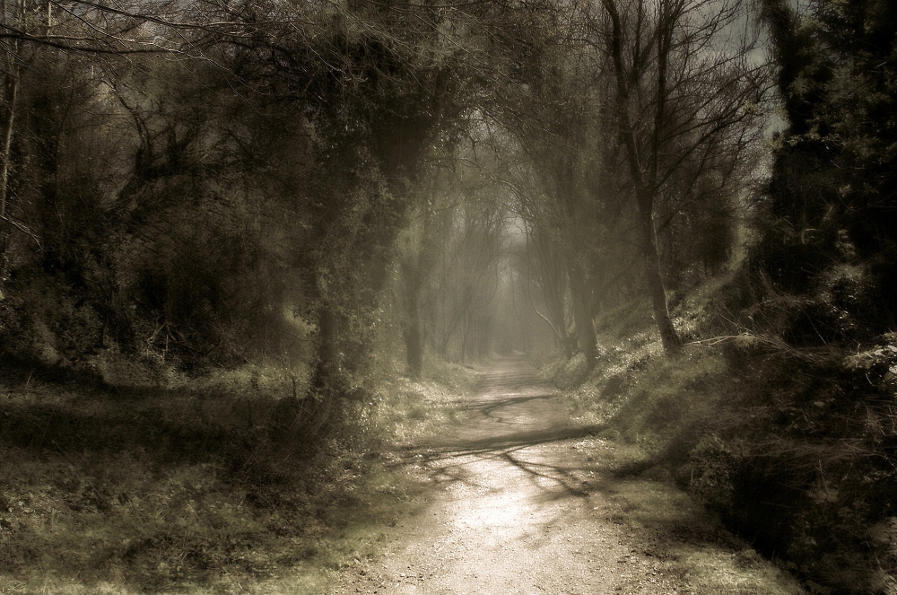 A local lane