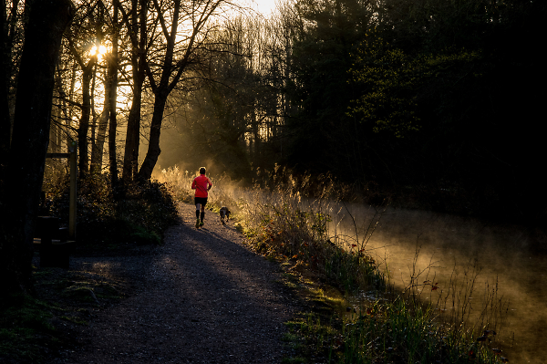 Early Morning Run with Dog