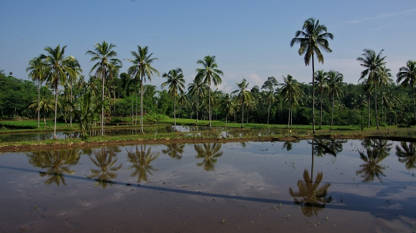 Lovely village