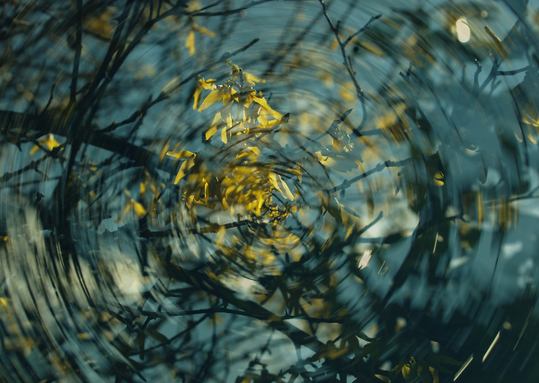 Spring Swirl