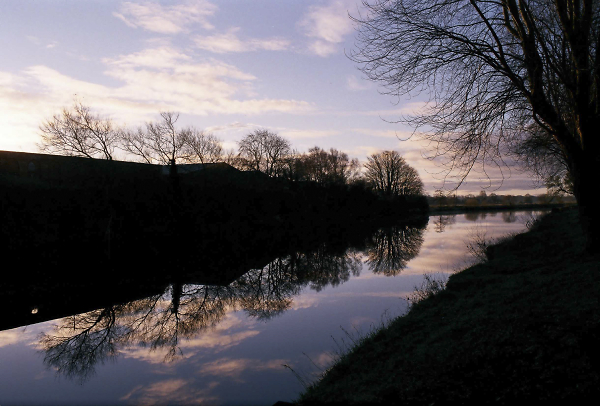 Sunrise Superia