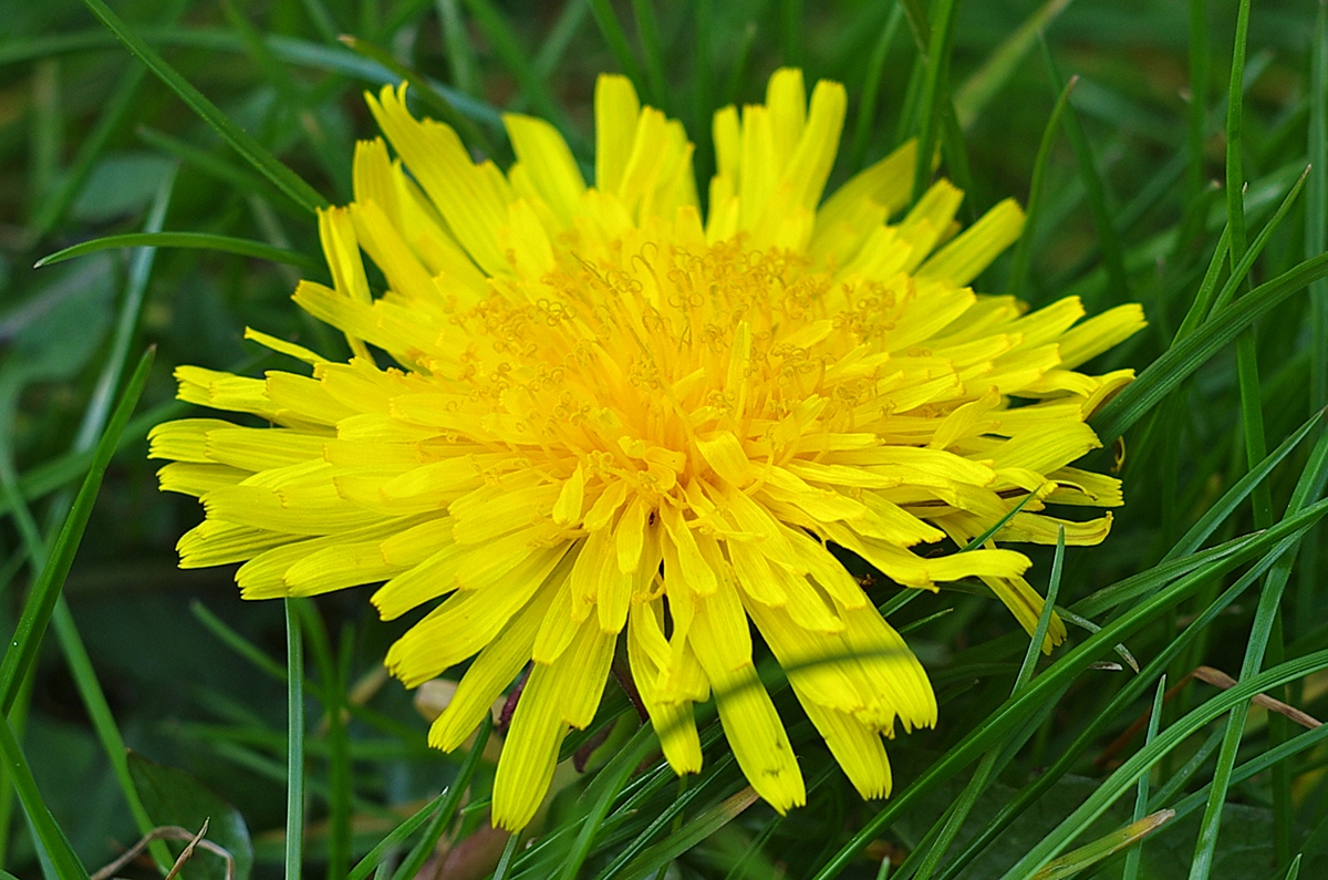 promise of summer