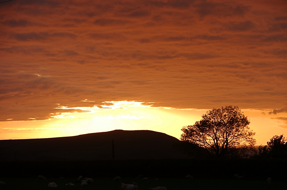 Pembrokeshire Sunset