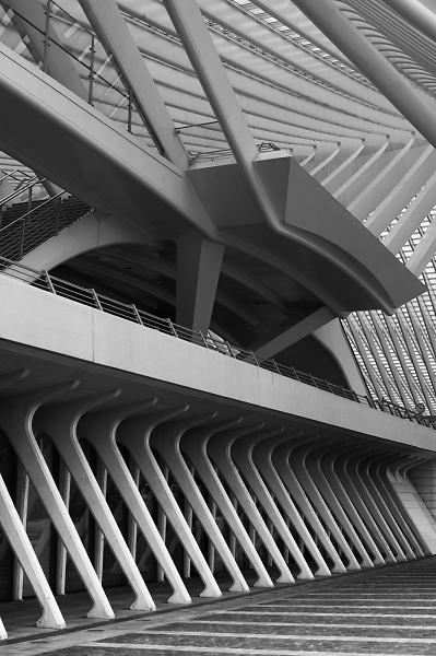 a view from Calatrava's universe