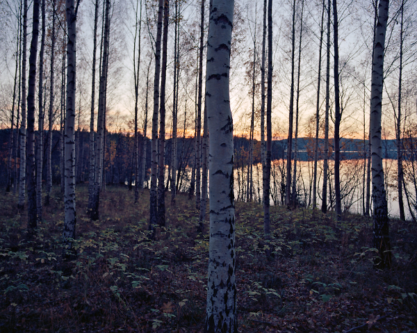 Dawn