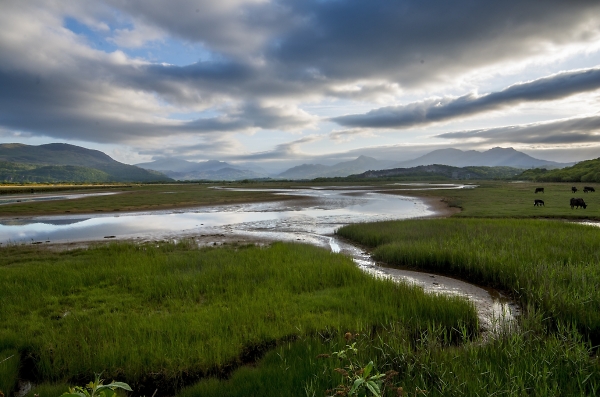 Morning at Porthmadog