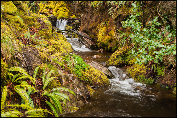 Mountain Stream