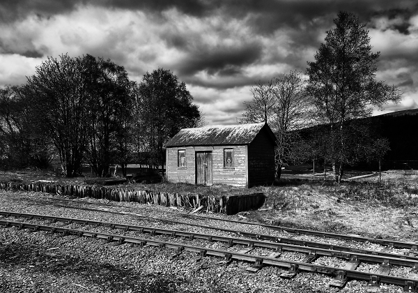Shed