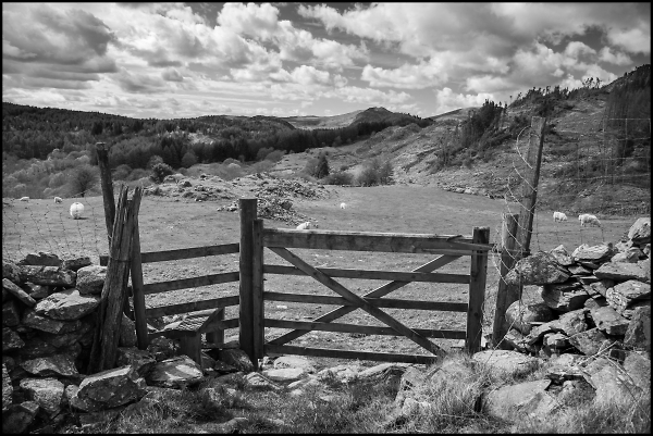 Stile Above Tan y Bwlch.